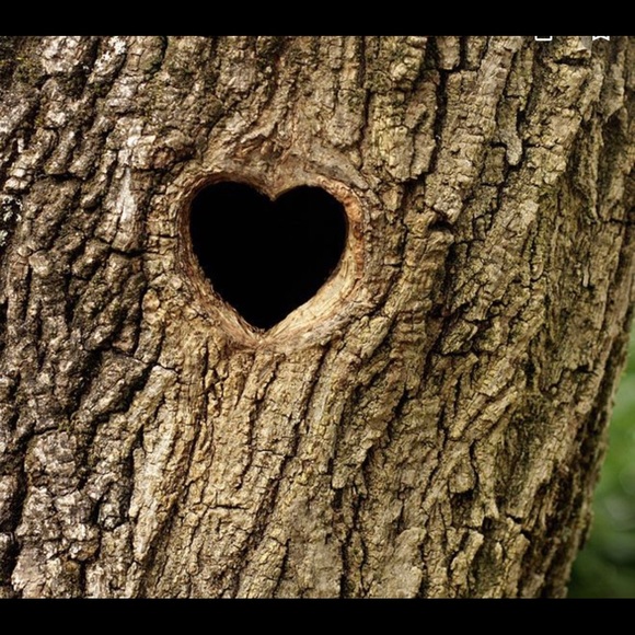 Posh💕 - Picture 8 of 16